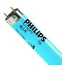 Philips MASTER TL-D 36W - Bleu | 120cm