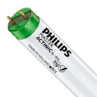 Philips MASTER TL-D Actinic BL 18W - Ultra-Violet | 60cm